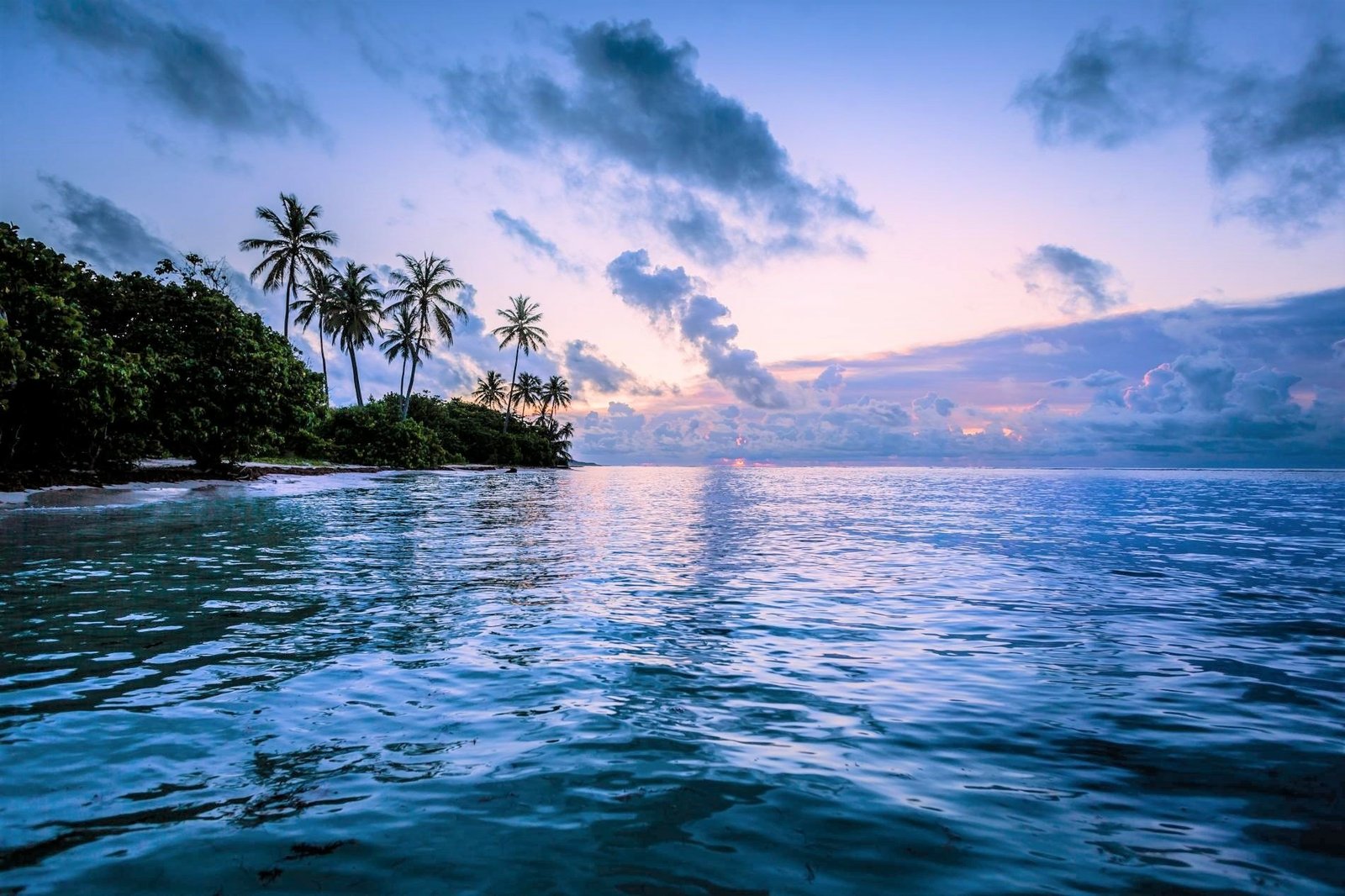 Holiday Packages