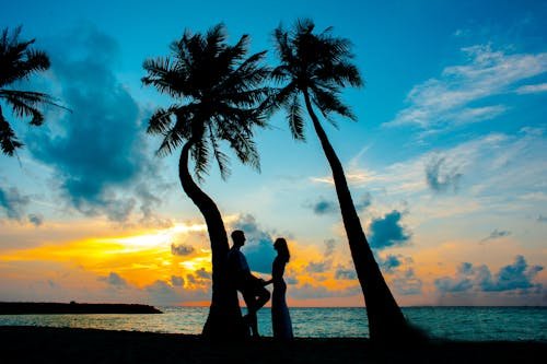 OOTY HONEY MOON PACKAGES