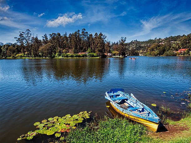 OOTY KODAIKANAL HONEYMOON PACKAGES