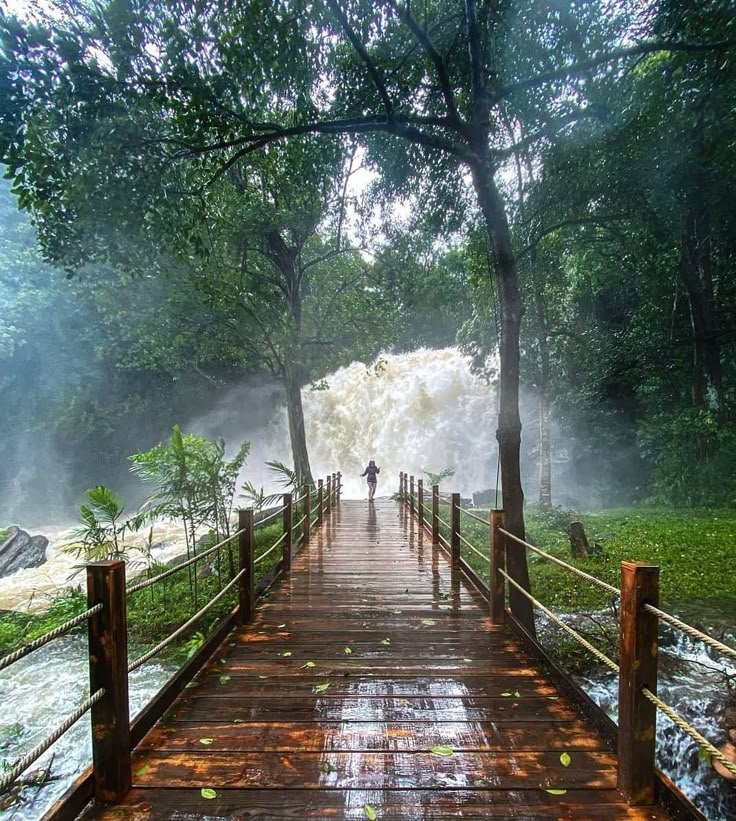 COORG HONEY MOON PACKAGES